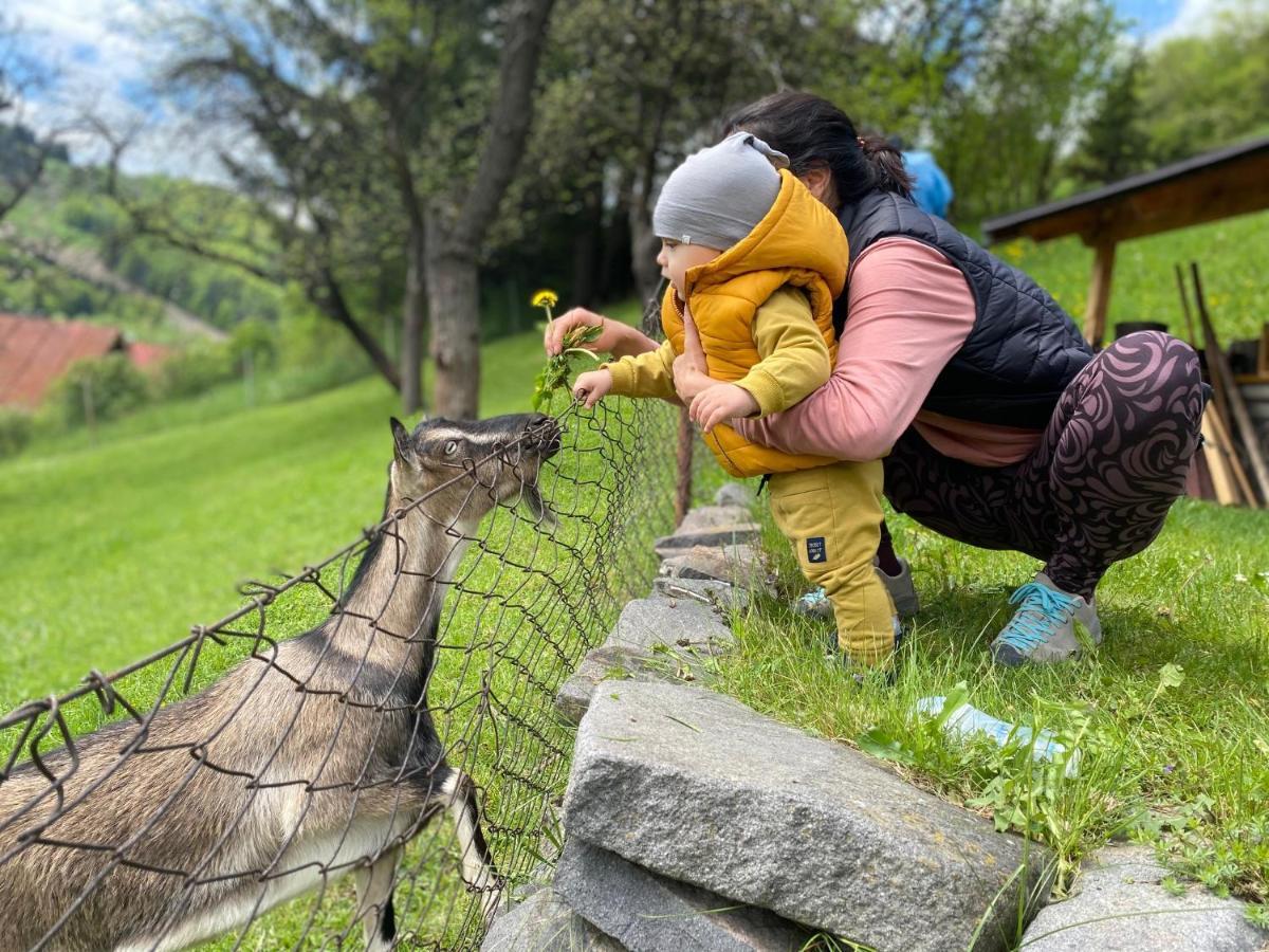Domcek V Strani Villa Mýto pod Ďumbierom Dış mekan fotoğraf