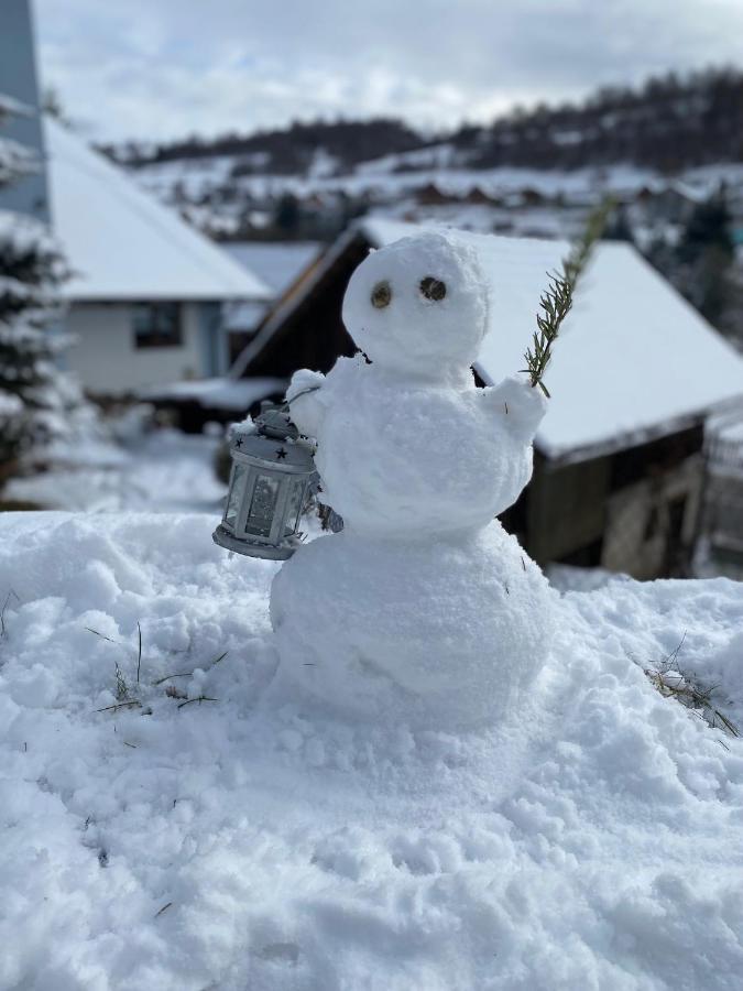 Domcek V Strani Villa Mýto pod Ďumbierom Dış mekan fotoğraf