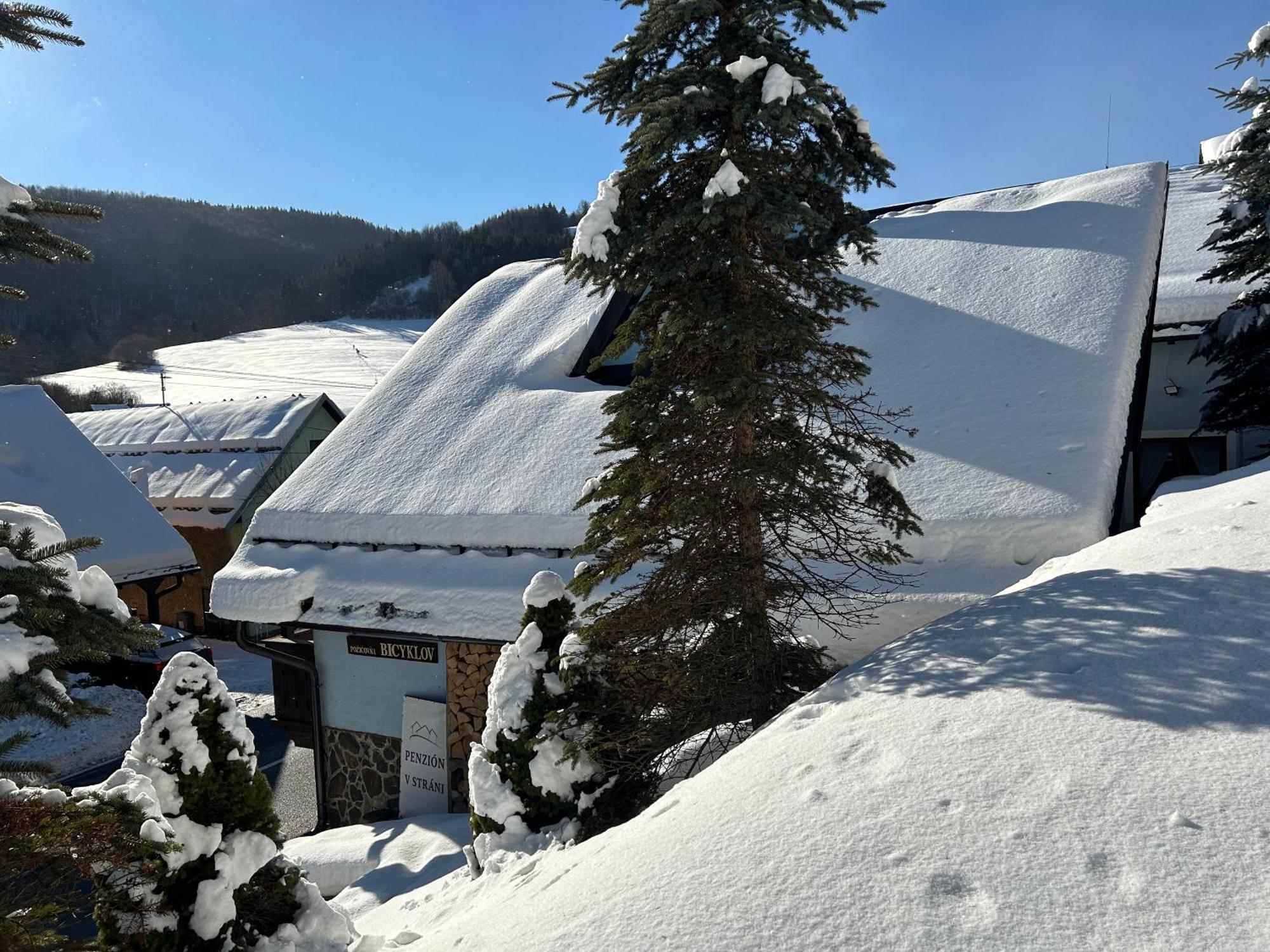 Domcek V Strani Villa Mýto pod Ďumbierom Dış mekan fotoğraf